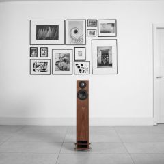 PMC twenty5 23i